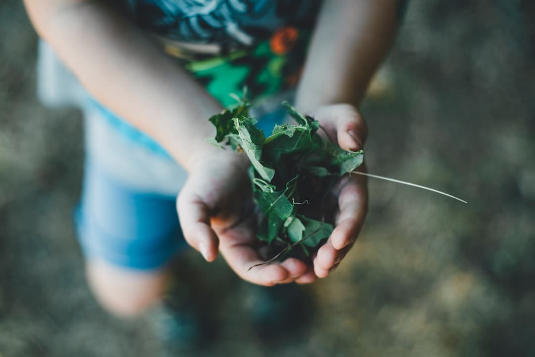 Nature & outdoor learning